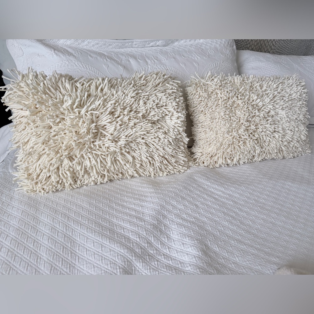 Crate & Barrel Remy Throw Pillows (2)